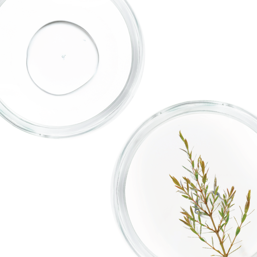 Goteskin Pore Minimising Serum