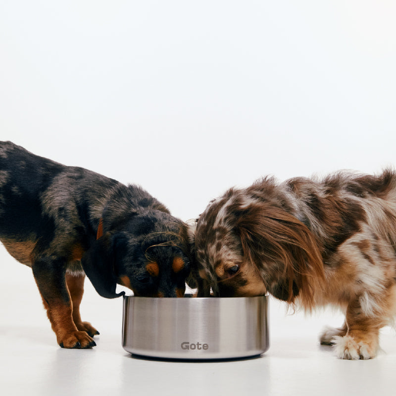 Gotefriend Bowl