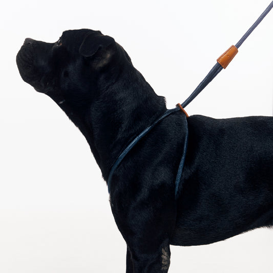 Gotefriend Adjustable Harness Leash