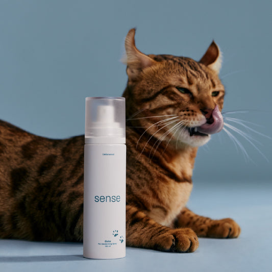 Sense Pet Deodorising Spray