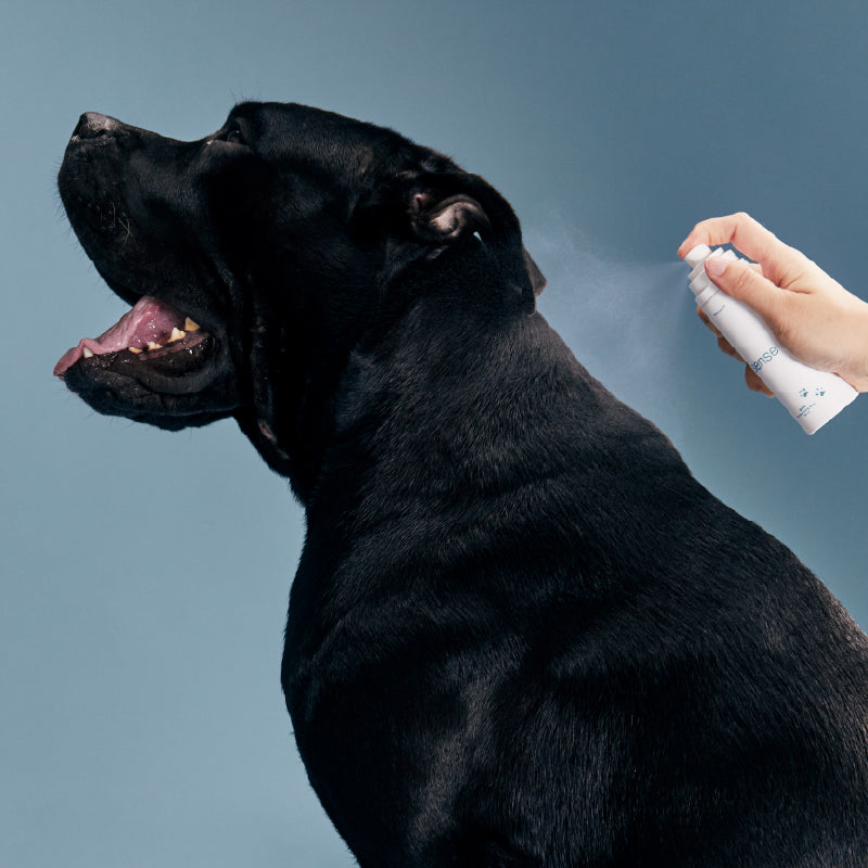 Sense Pet Deodorising Spray
