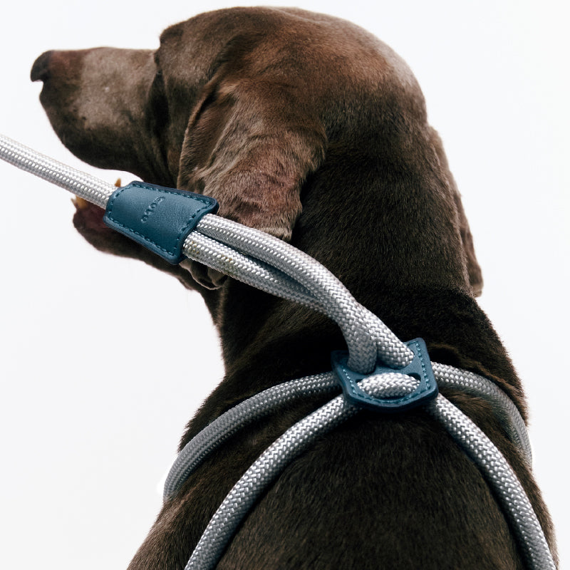 Gotefriend Adjustable Harness Leash