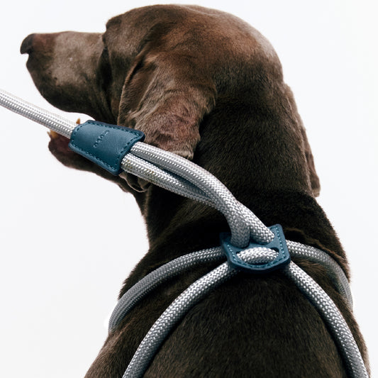 Gotefriend Adjustable Harness Leash