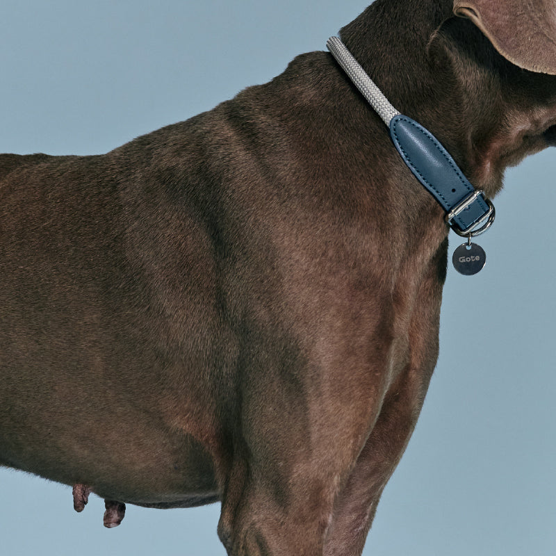 Gotefriend Collar